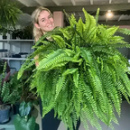 🌱 UV-beständig, naturtrogen konstgjord bostonfarn