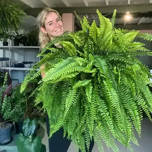 🌱 UV-beständig, naturtrogen konstgjord bostonfarn