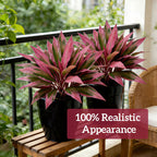 🌿 Äntligen… En växt som inte går att döda