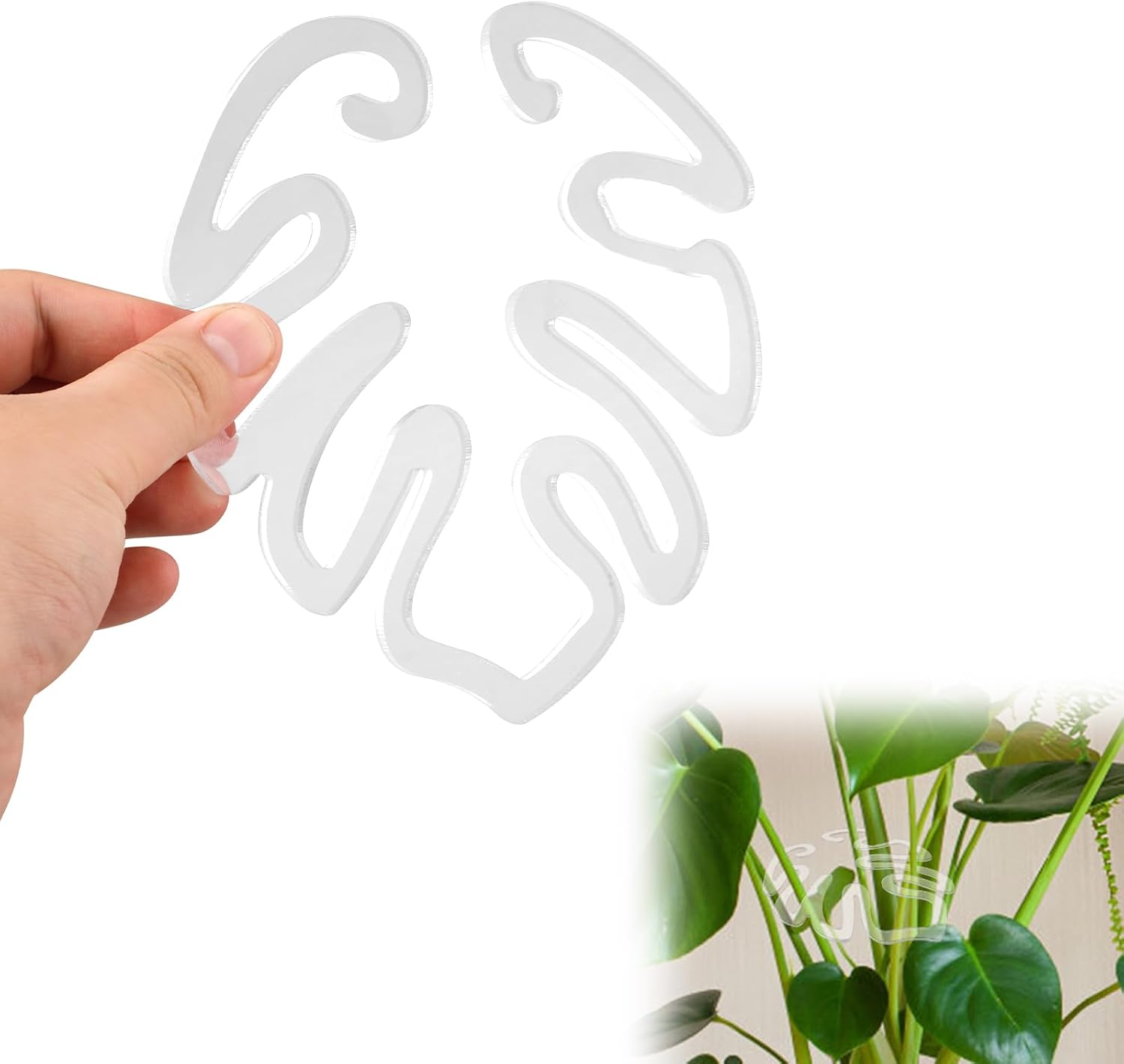 Genomskinlig växtpinne i akryl i form av ett Monstera-blad | Osynligt stöd för krukväxter inomhus