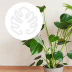 Genomskinlig växtpinne i akryl i form av ett Monstera-blad | Osynligt stöd för krukväxter inomhus